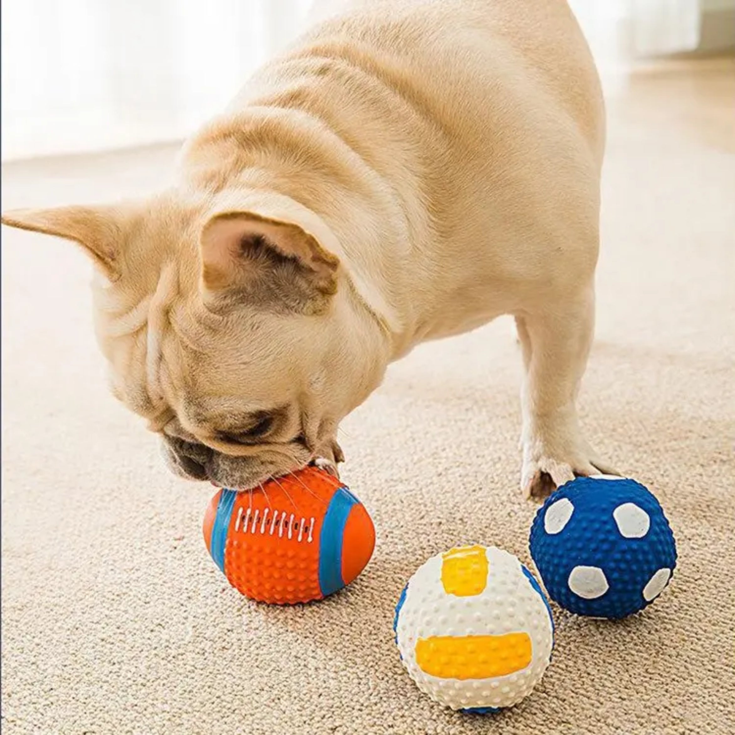 Squeaky Dog Ball Toy – Orange, Single Pack