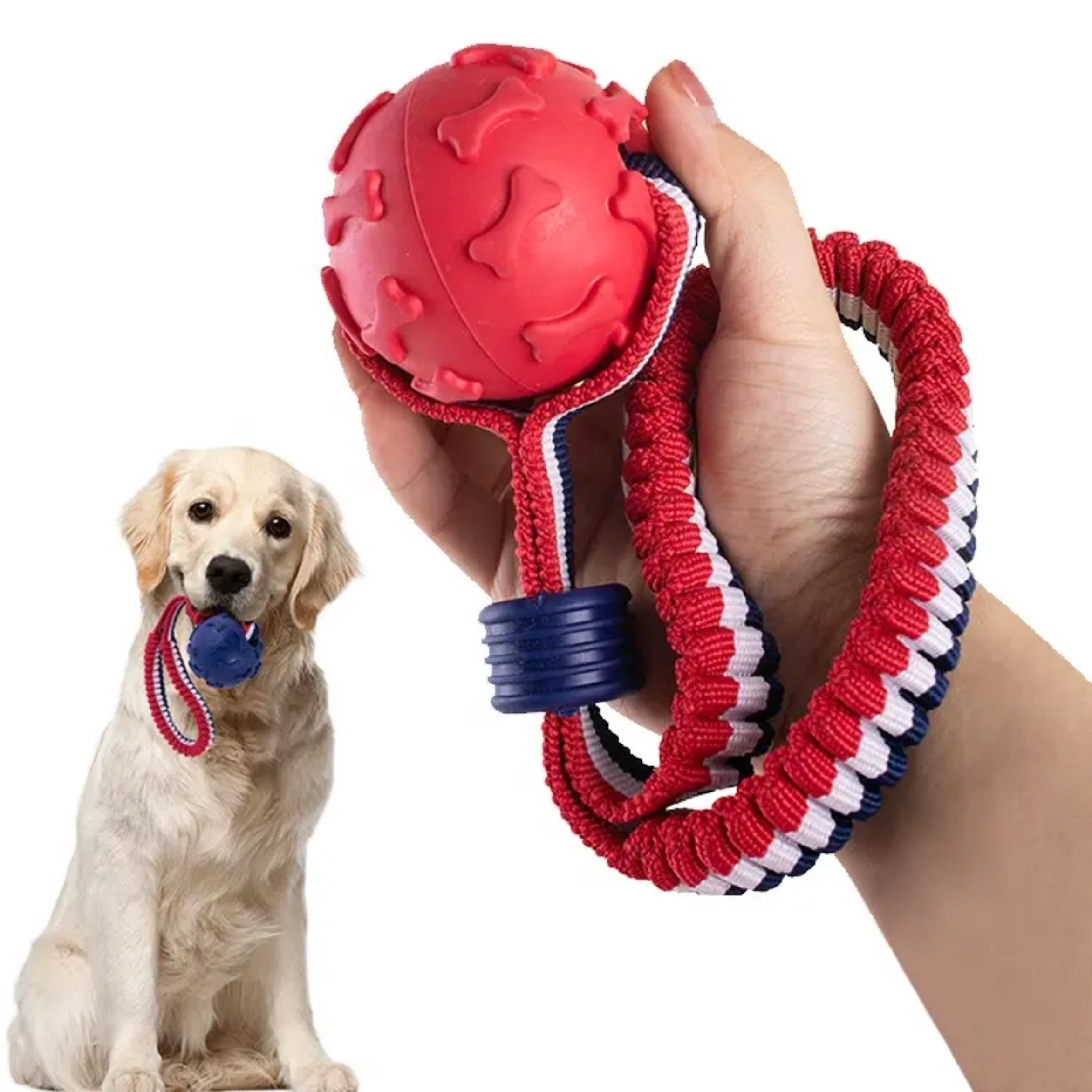 Red Ball Rope Dog Toy for Fetch & Tug