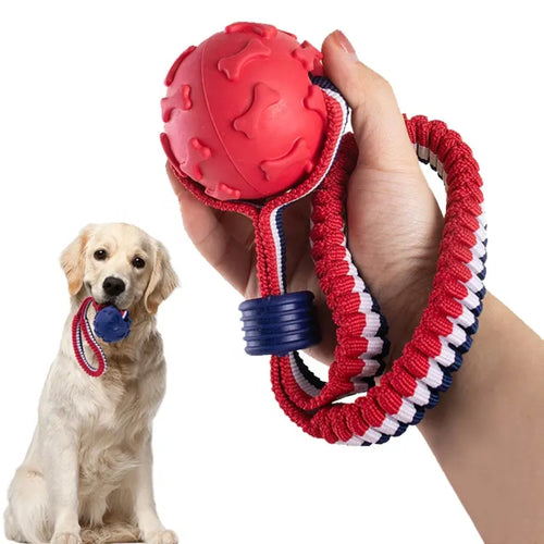 Ball on a Rope Dog Toy