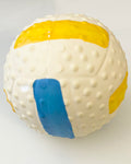 Squeaky Dog Balls